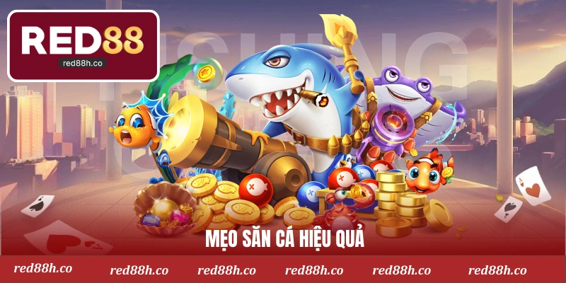 Mẹo săn cá hiệu quả