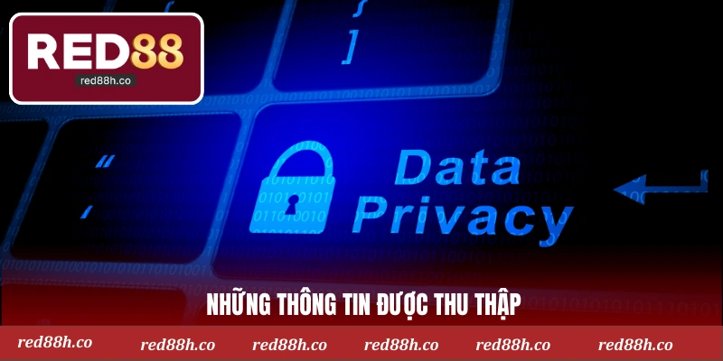Những thông tin được thu thập