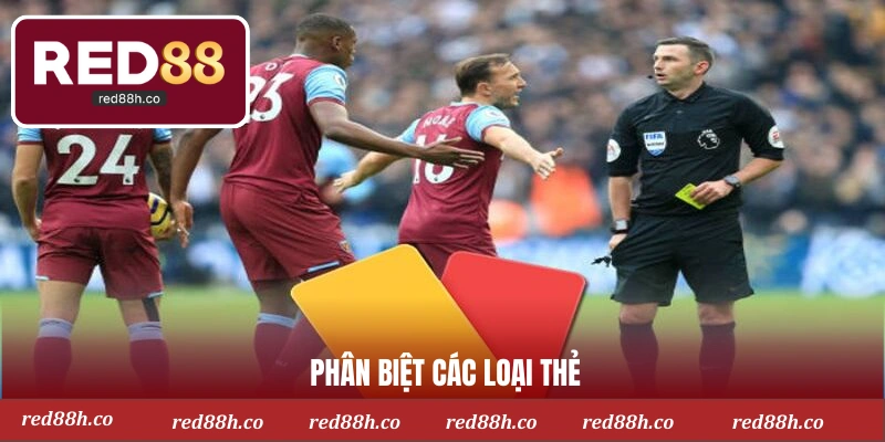 Phân biệt các loại thẻ